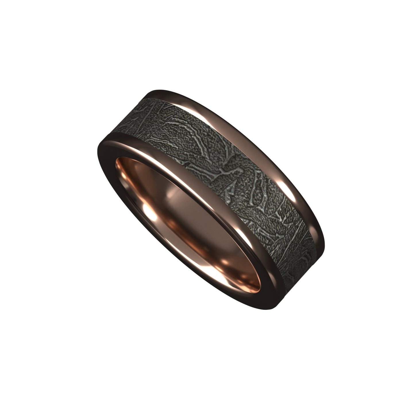 Andromeda Meteorite